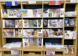 『世界の飼い犬と野生犬』『世界の飼い猫と野生猫』パネル展