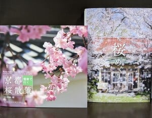 桜と春の花フェア