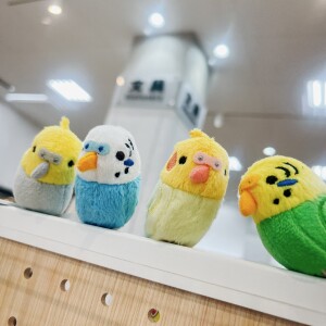 ことりマルシェ in Isesaki