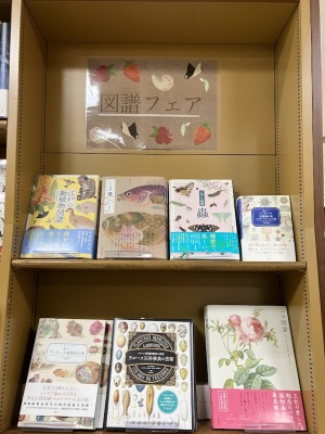 「図譜フェア」開催中