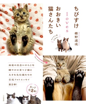 【待望の第２弾】椹野道流さん『ちびすけlovesおおきい猫さんたち』絶賛発売中【ちびすけにまた会える】