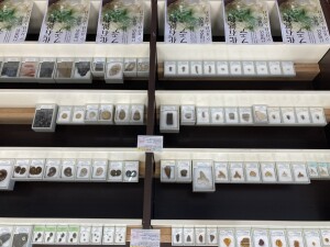 化石・鉱物フェア