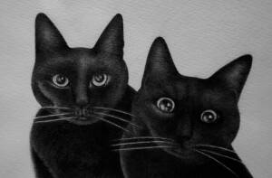 猫づくし　SUMMER2024　東マユミ－銅版画＆イラスト－　　CATS CATS CATS SUMMER2024 Mayumi Higashi - Copperplate Prints & Illustrations