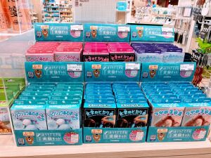 夏休みの宿題は終わりましたか？