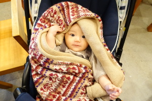 アルパカストールフェア　Alpaca Stole Fair