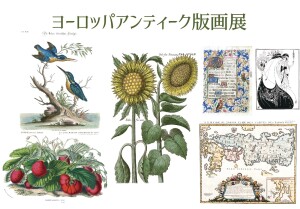 ヨーロッパアンティーク版画展　～ボタニカルアート・博物画・古典版画からアールヌーヴォーまで～