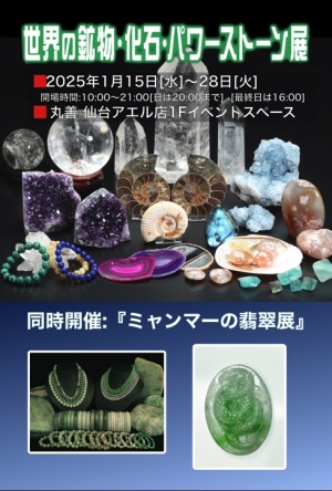 世界の鉱物・化石・パワーストーン展