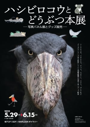 【ハシビロコウとどうぶつ本展】　-写真パネル展とグッズ販売-