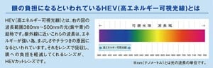メガネサロン【サマーフェスタ】