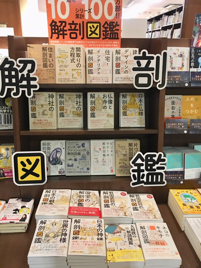 Honto店舗情報 10周年記念 解剖図鑑フェア