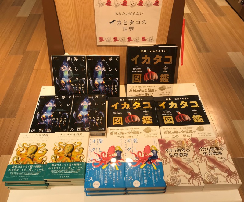 Honto店舗情報 神秘の世界 あなたの知らない イカとタコの世界 ミニフェア