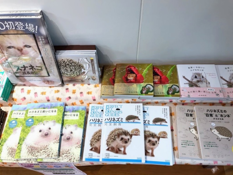 Honto店舗情報 まるっと小動物展 小動物のことが分かる本フェア