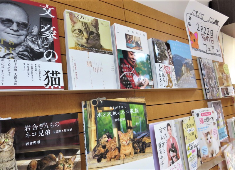 Honto店舗情報 ニャン ニャン ニャン 2月22日は 猫の日 本と雑貨でフェア開催