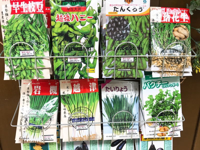 Honto店舗情報 伝統野菜と固定種 野口のタネ 春蒔き用 野口種苗研究所