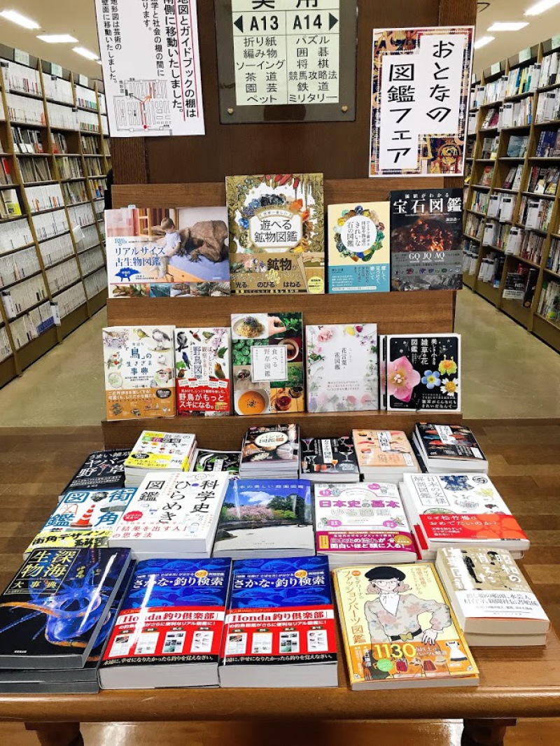 Honto店舗情報 おとなの図鑑フェア