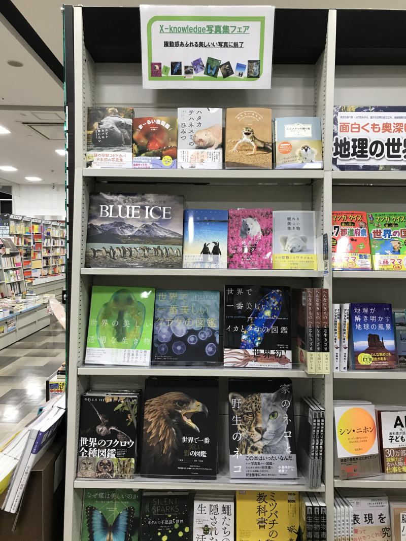 Honto店舗情報 躍動感あふれる美しい写真集