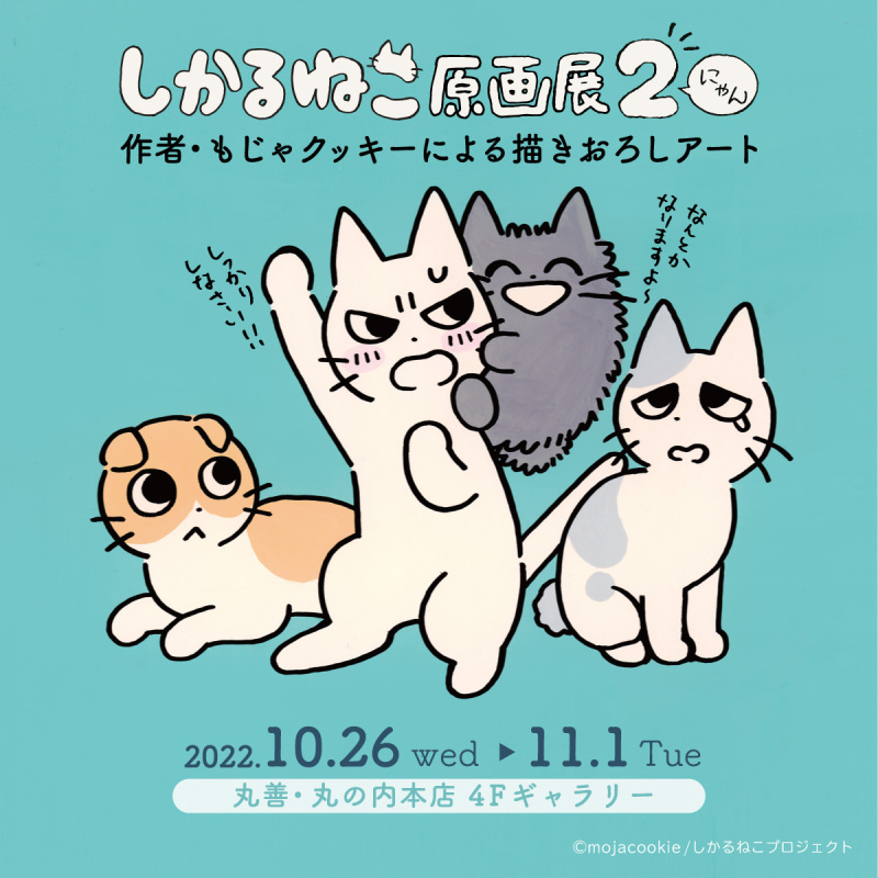 Honto店舗情報 しかるねこ原画展2 にゃん 作者 もじゃクッキーによる描きおろしアート