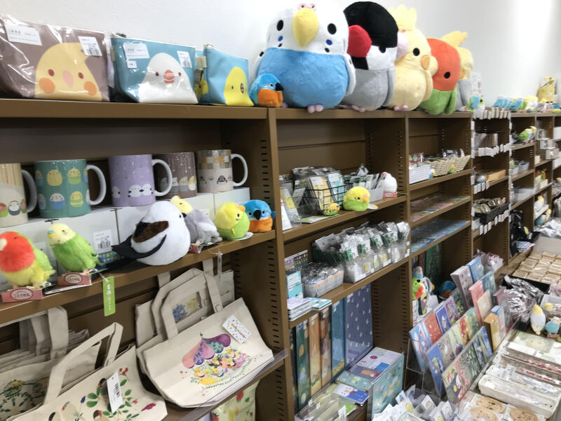 honto店舗情報 - かわいい小鳥グッズ大集合！「ことりマルシェ」開催